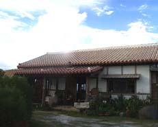 ���X�̓����