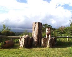 �e���X���ɗL��E�V�[�T�[