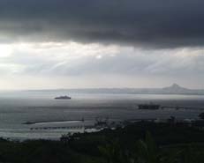 �e���X���猩�����i