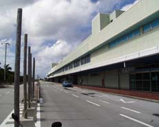 �o������t��