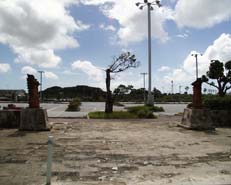 ���ԏ�֍s���ʘH�t��