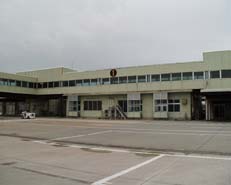 ��`�\���ʘH����̎B�e