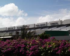 �O�����H����̎B�e