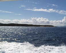 ���ɓn�鍂�����A�f�b�L����̕��i