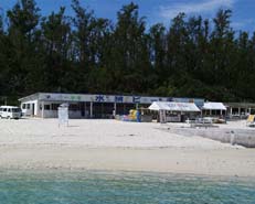 �D���ꂪ���r�[�`