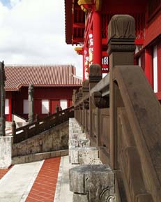 �񗢏鐳�a�i������̎B�e�j