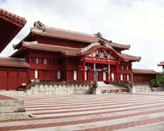 �񗢏鐳�a�i������̎B�e�j